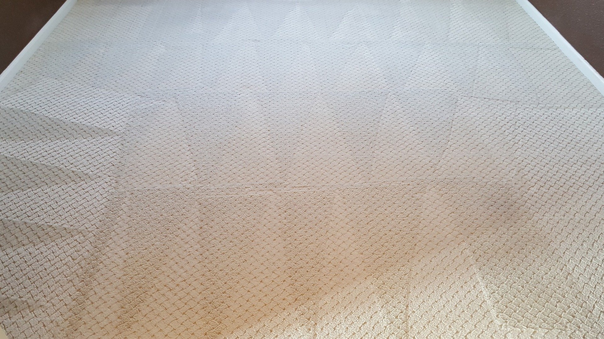 Carpet Cleaning Grand Junction CO Bob's Carpet & Tile Care