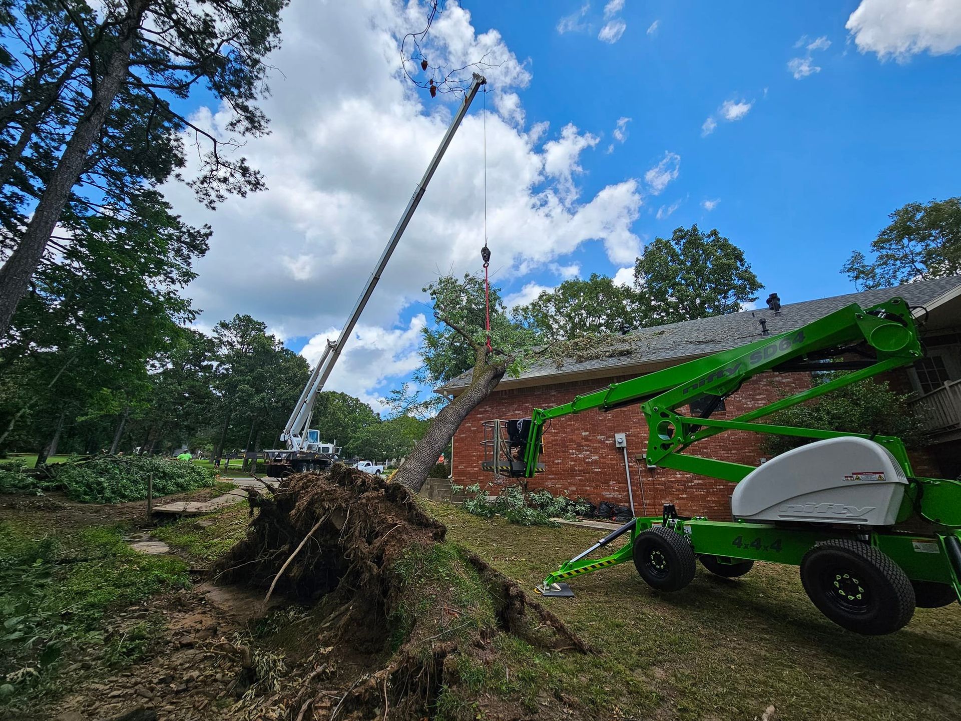 Tree Services Conway | Little Rock | James Tree Service