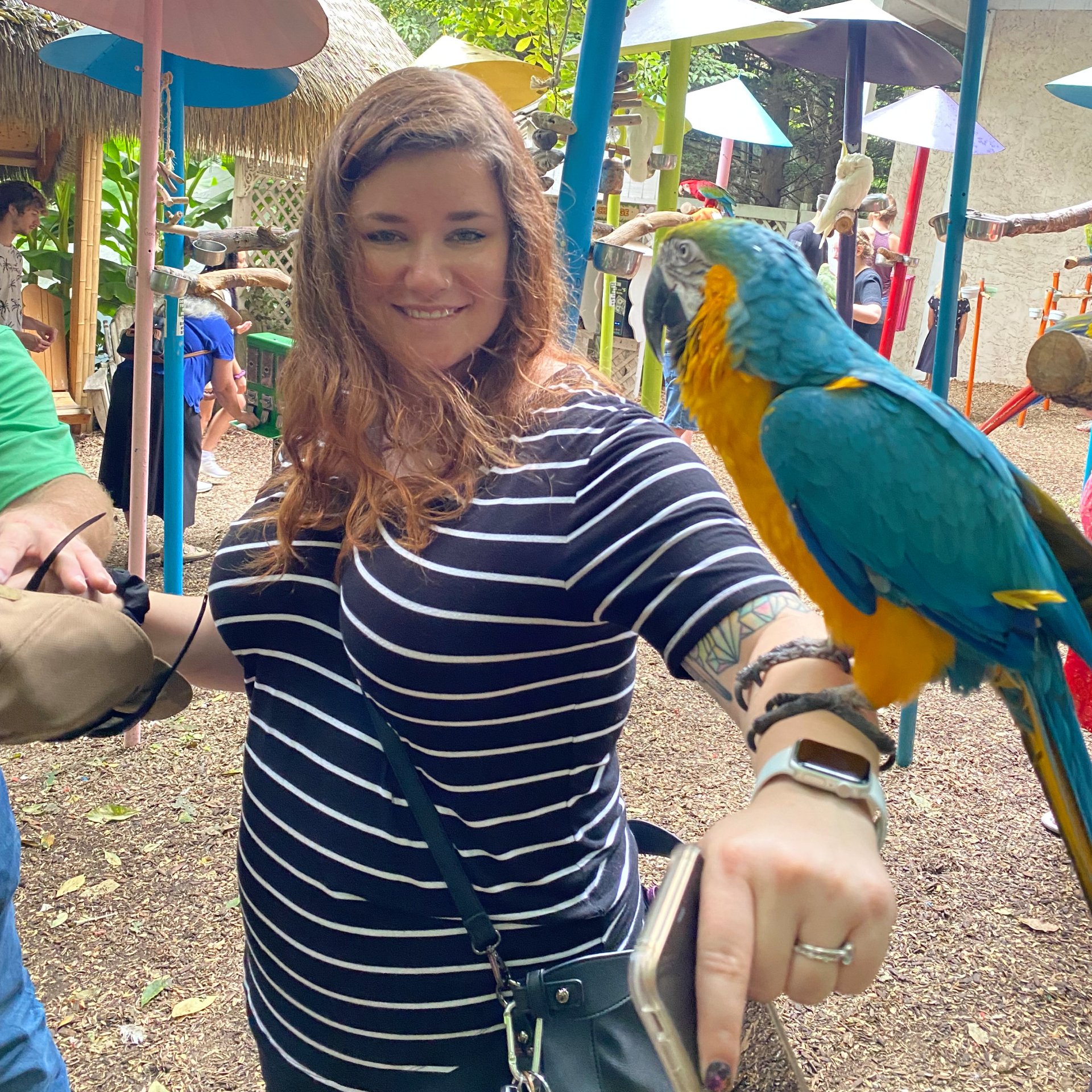 About the Lakeland Animal Clinic Team Flowood Veterinarian