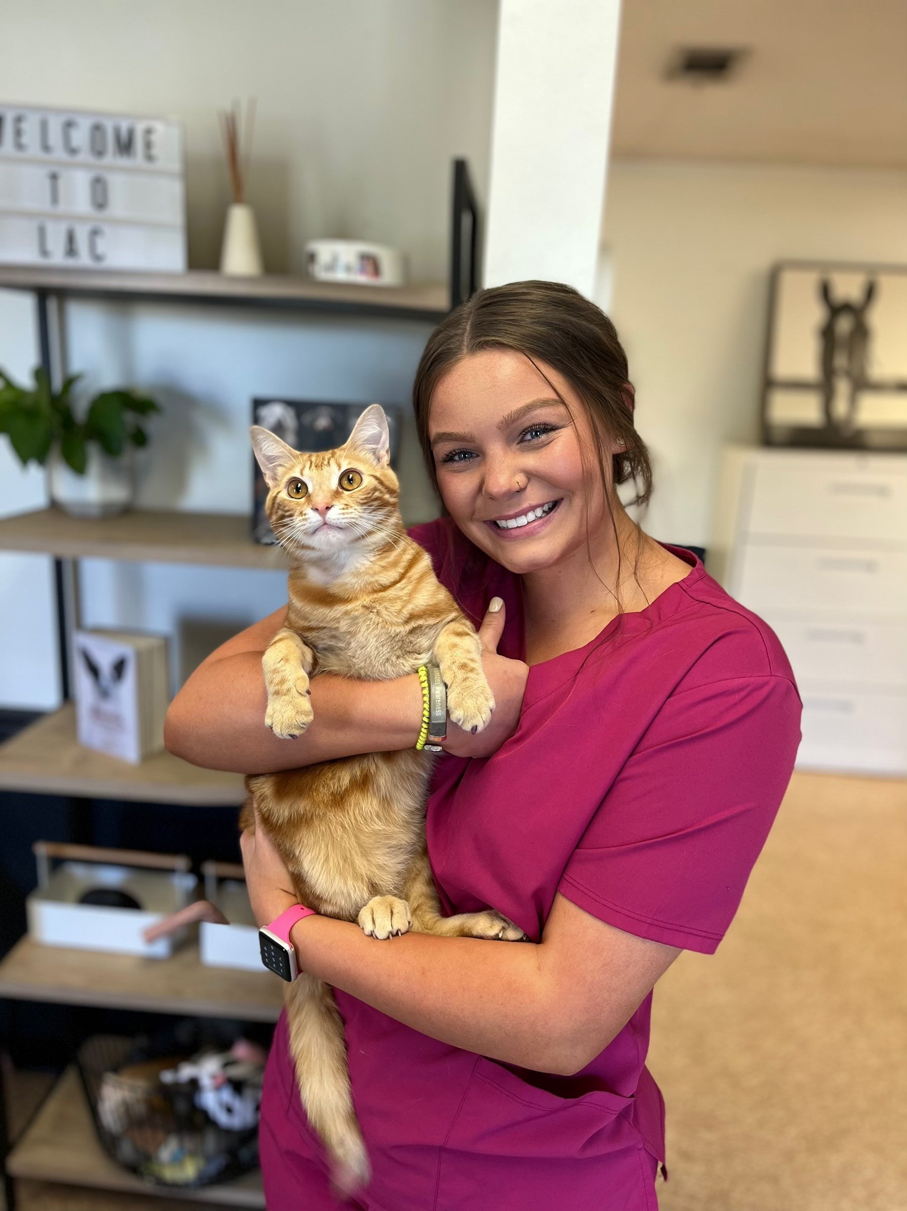 About the Lakeland Animal Clinic Team Flowood Veterinarian