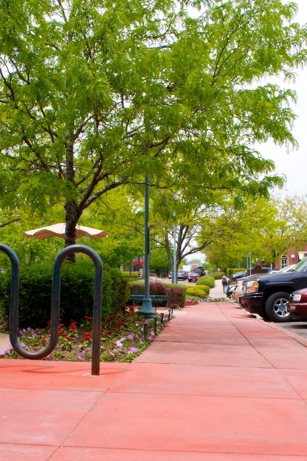 A row of cars are parked on a sidewalk next to a tree.