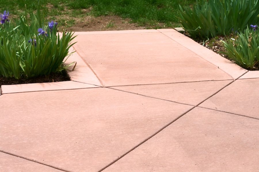 A concrete walkway with flowers on the side of it.