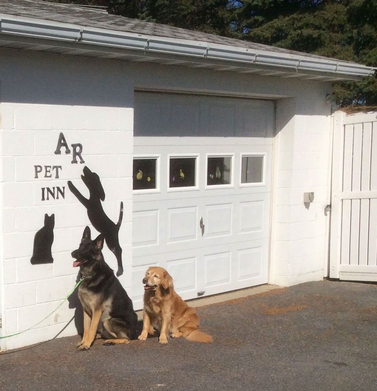 Photo Gallery ARPetInn