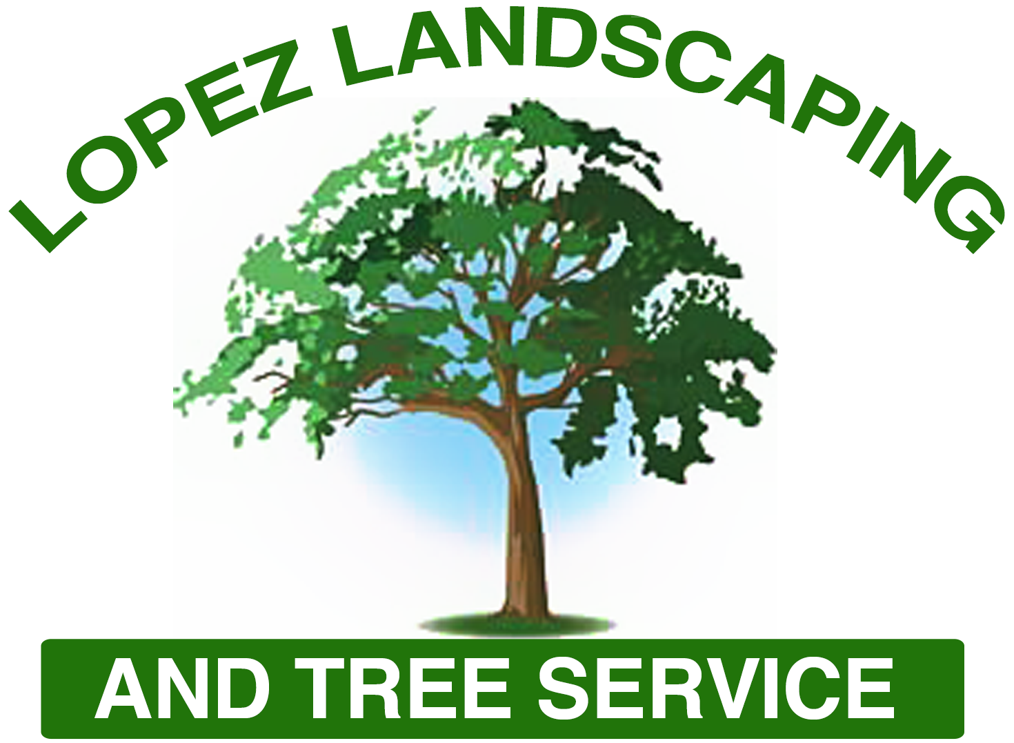 About Lopez Landscaping & Tree Service Lynn MA Tree Removal