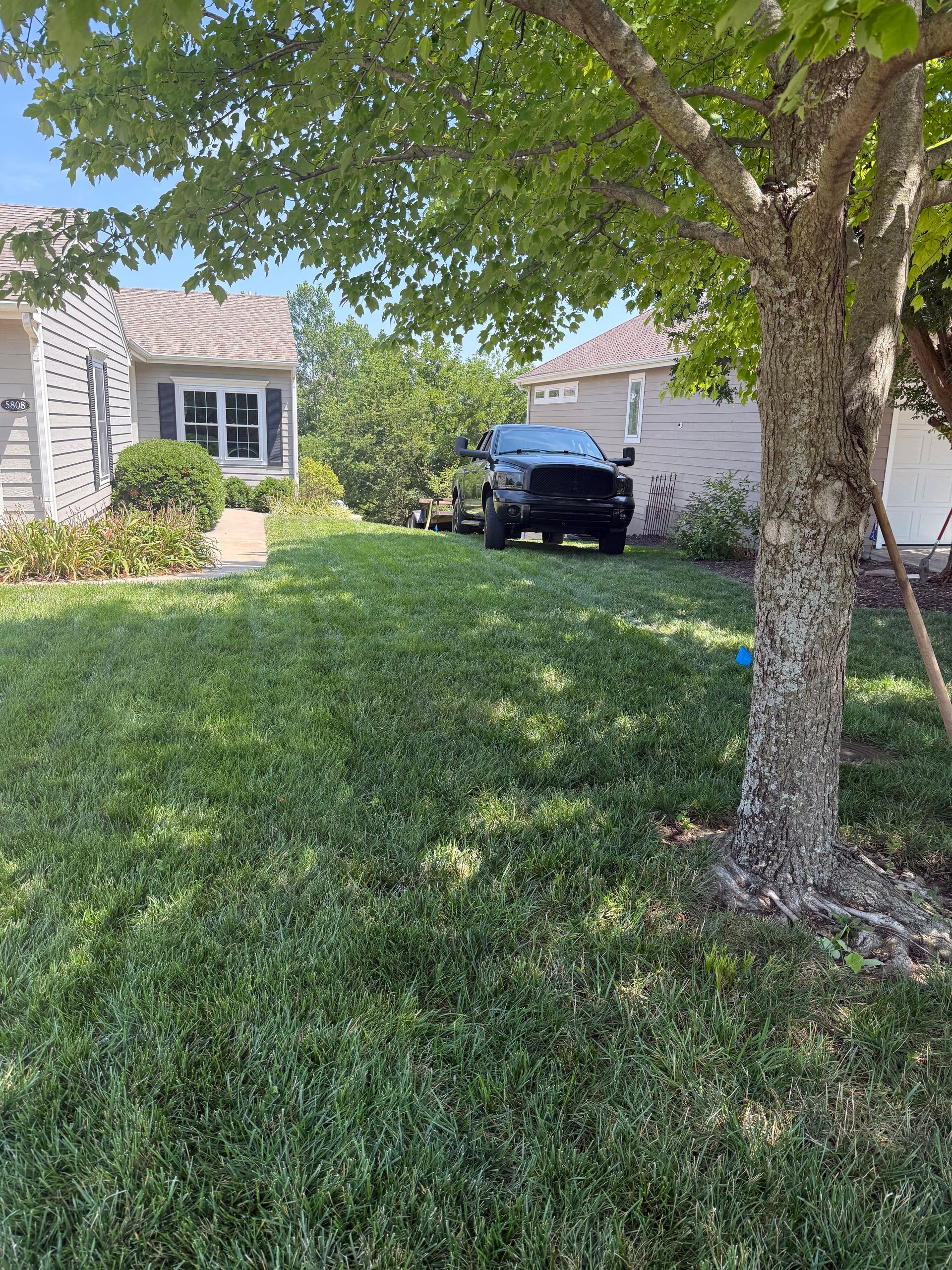 Truck parked on lawn in front of a house. Green grass, tree in foreground, sunny day.