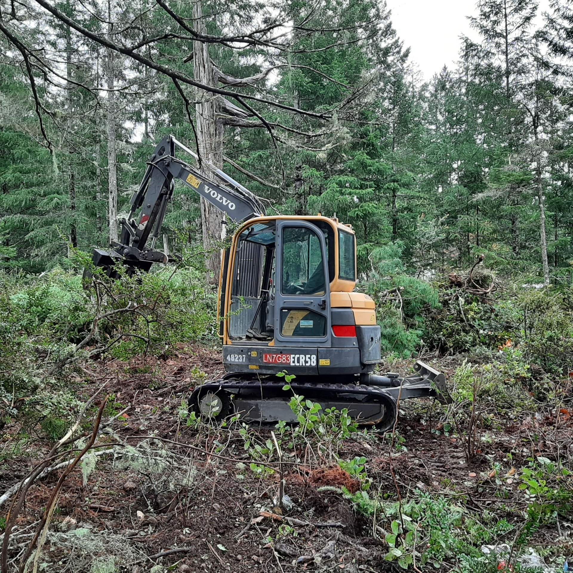 Tobin Bros Land Clearing Services Shelton, WA