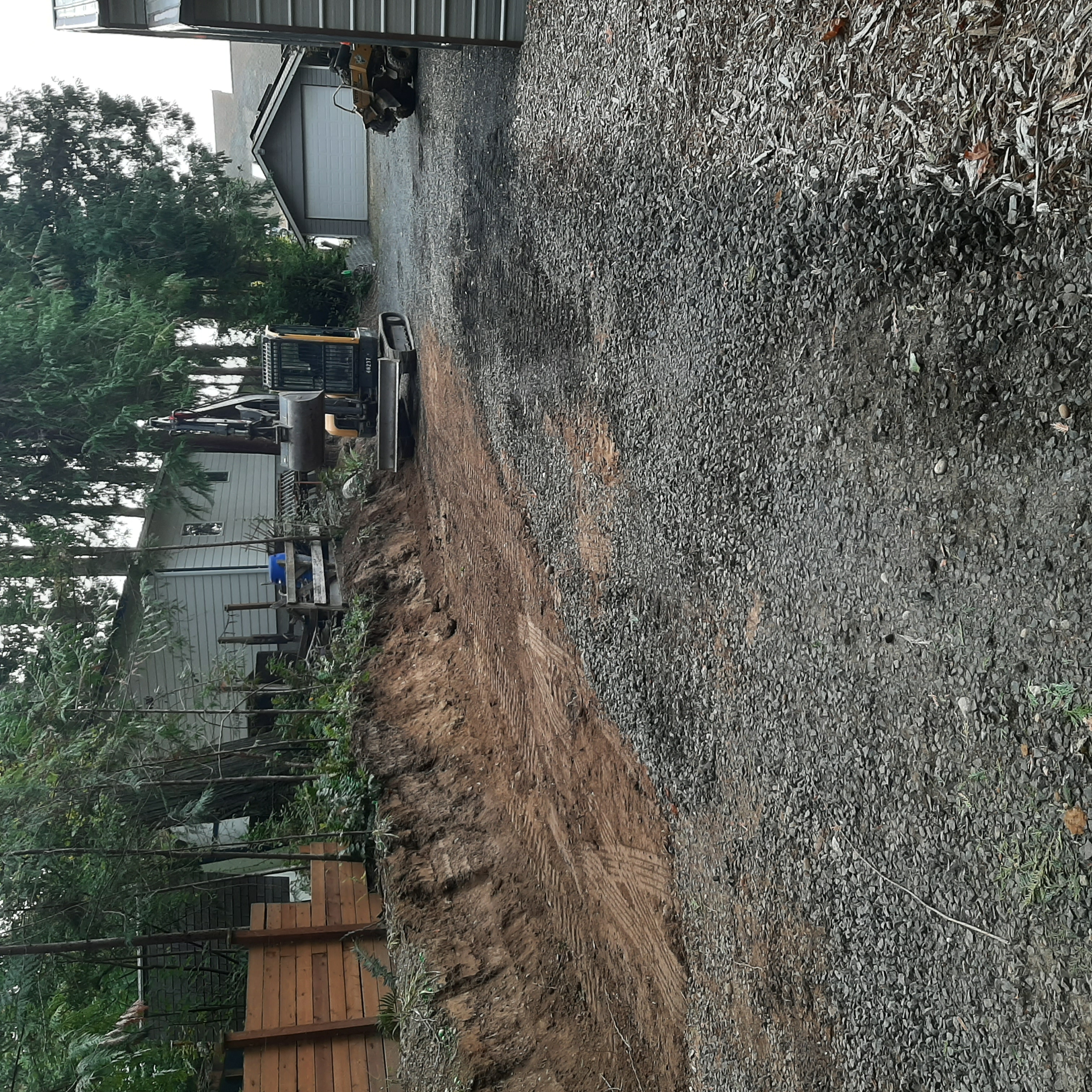 Tree Removal