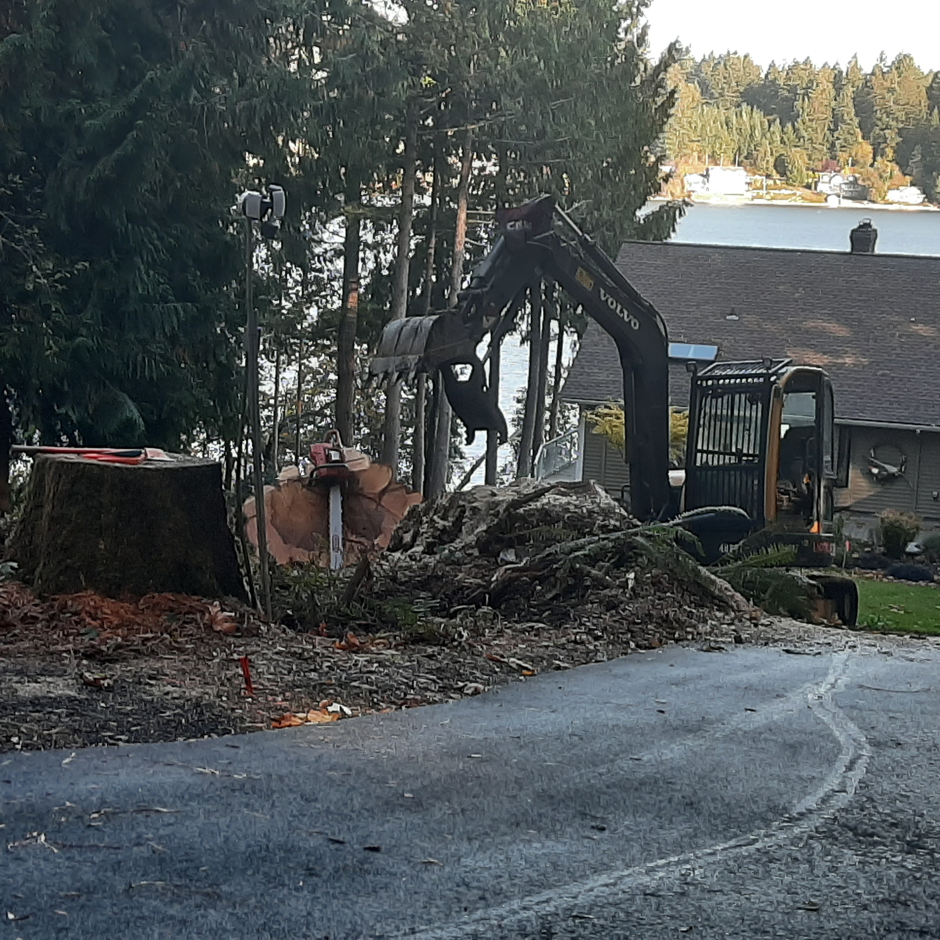 Brush Clearing