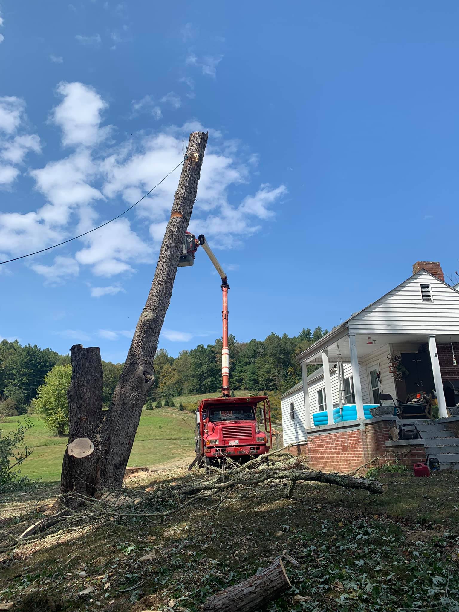 Affordable Tree Care Photo Gallery Burnsville, NC