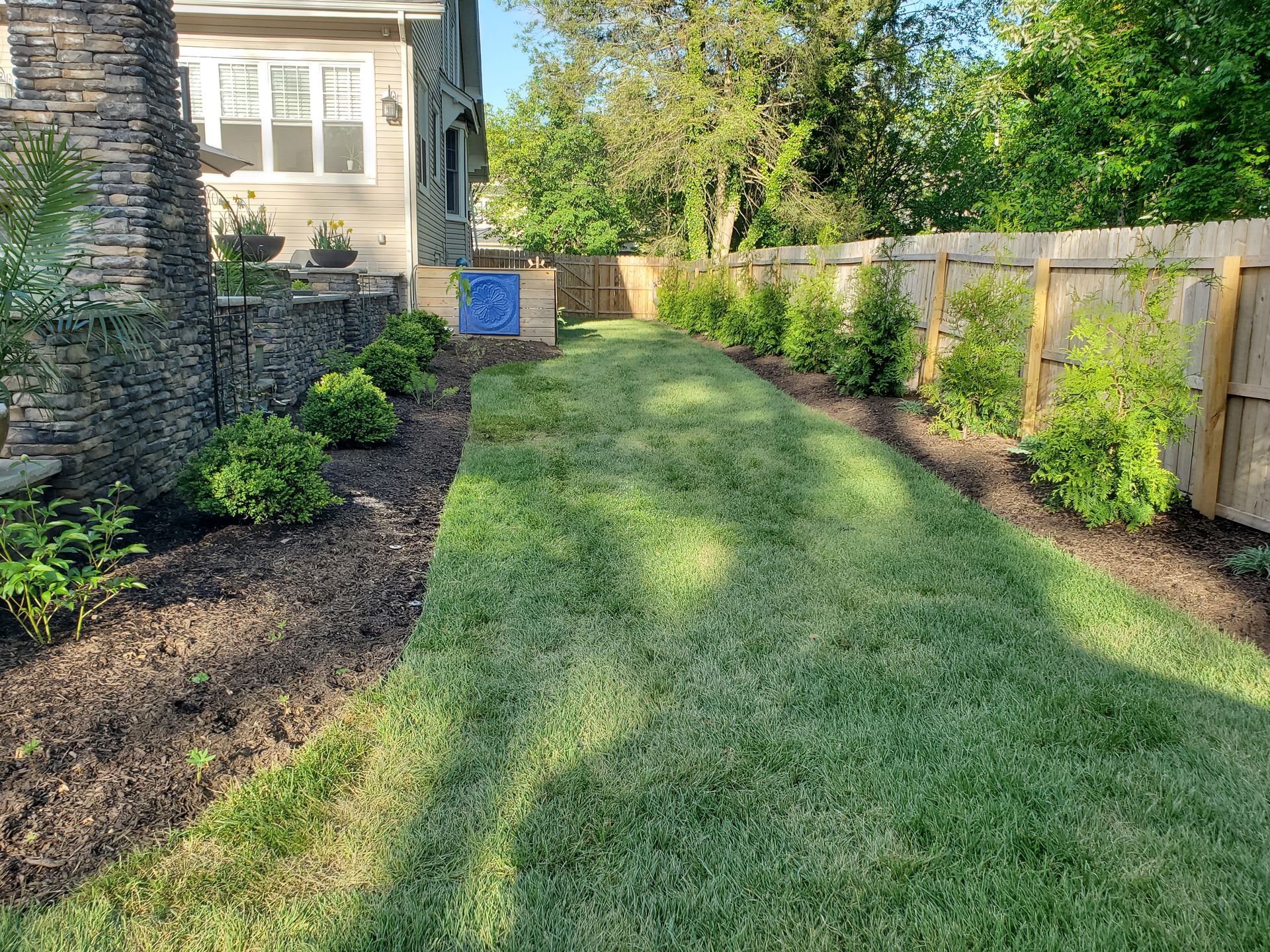 A lush green lawn in front of a house with a wooden fence.