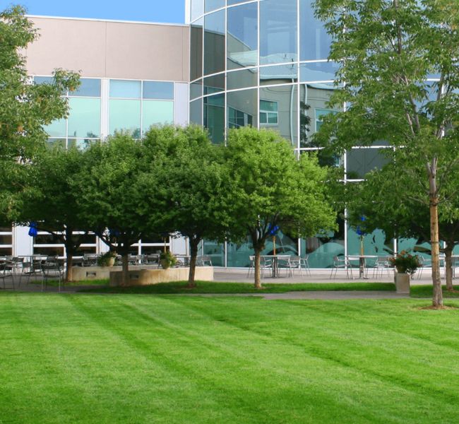 A large building with a lot of windows and trees in front of it