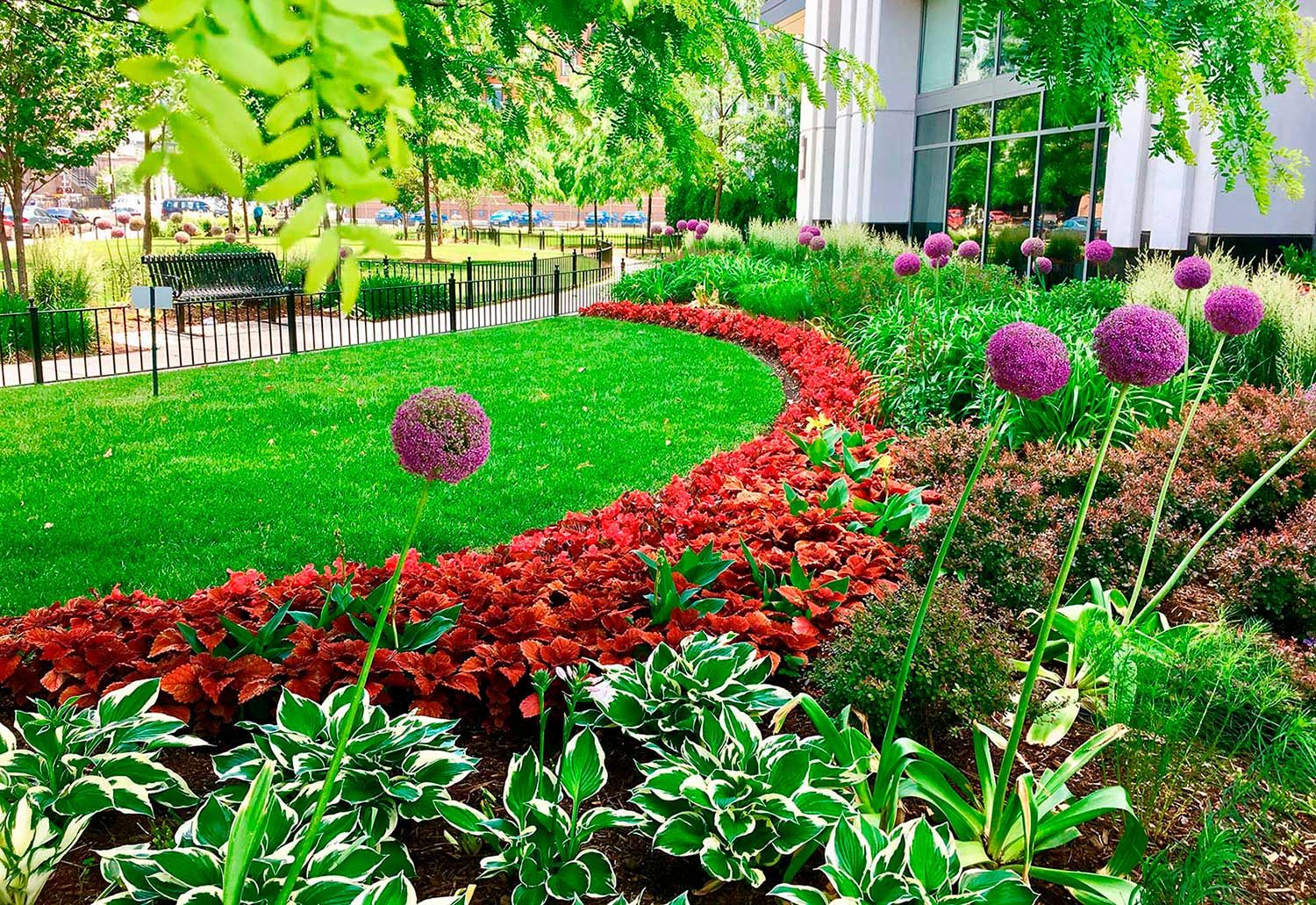 A garden with lots of flowers and plants in front of a building.