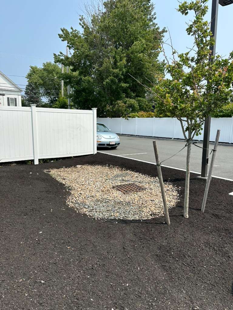 Backyard with white fence, black gravel, young tree, and a parked light blue car in the background