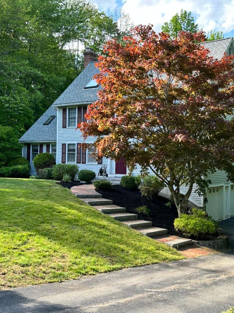 Suburban house with gray siding, red-leaf tree, and stone steps on a sunny green lawn