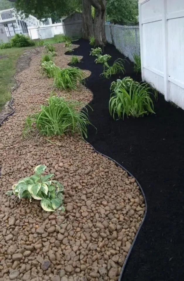 Mulched garden bed with hostas and other plants along a white fence and tree-lined yard
