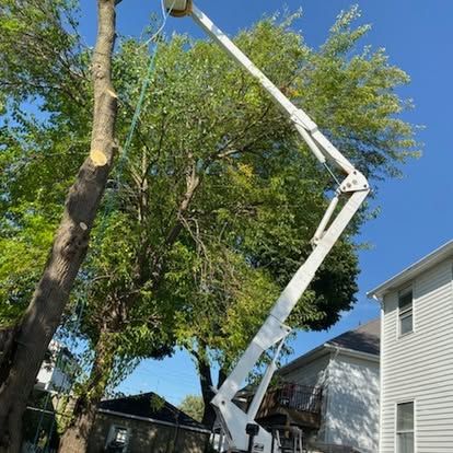 Tree trimming truck lifting bucket near tall trees beside a house under a blue sky