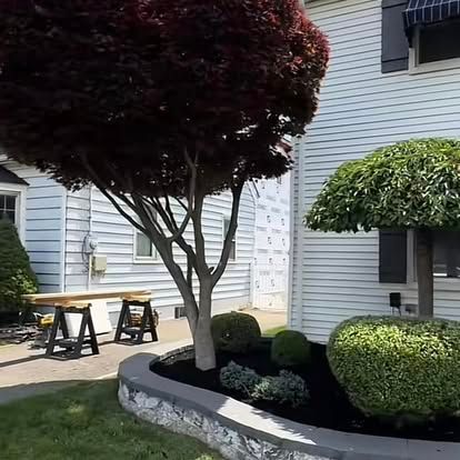 Courtyard with manicured trees, shrubs, and benches beside a white house