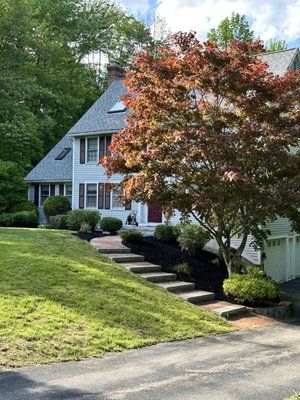 White house with steep roof and front steps, partly hidden by a red-leafed tree beside a sloped lawn.