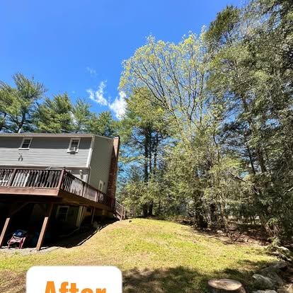 House on a grassy hillside beside tall trees under a bright blue sky