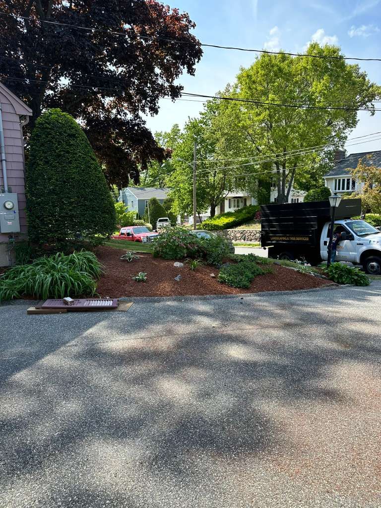 Front yard garden with shrubs and trees beside a house, a parked car, and a driveway in sunlight