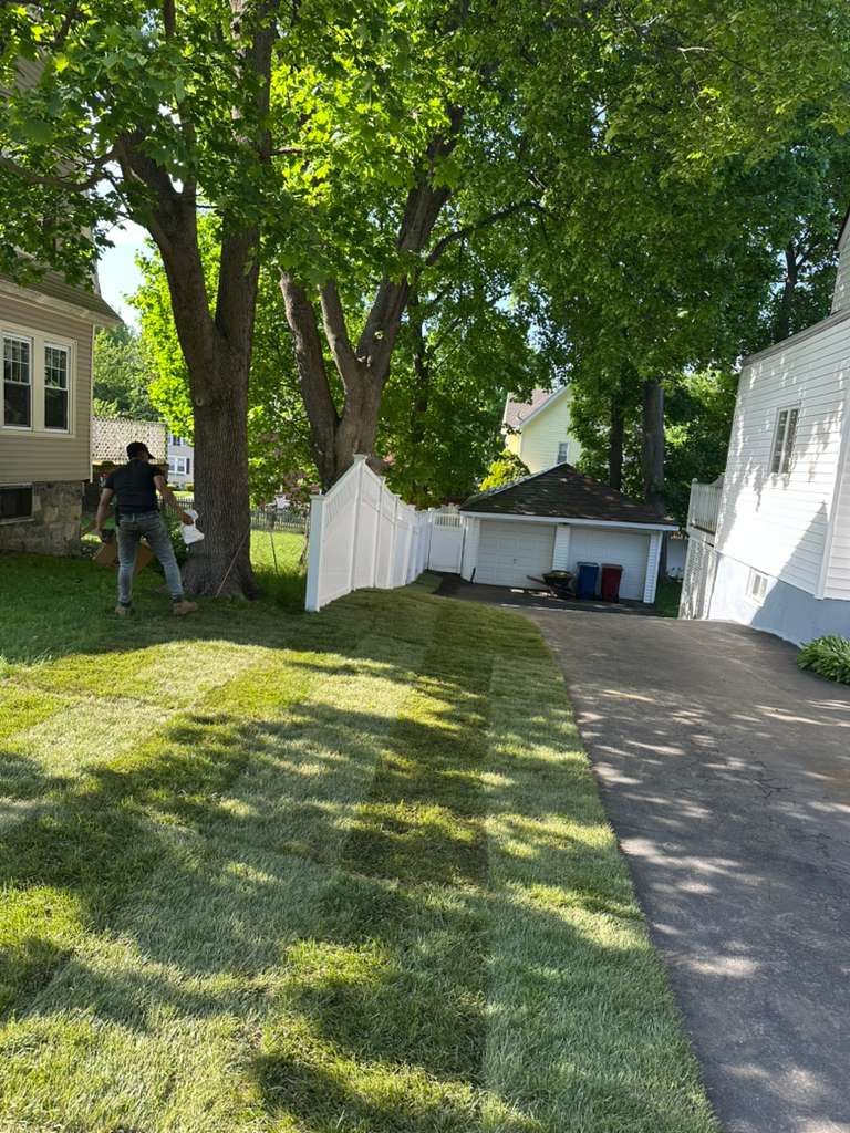 Sunny backyard with green lawn, large trees, and a driveway beside a house and shed