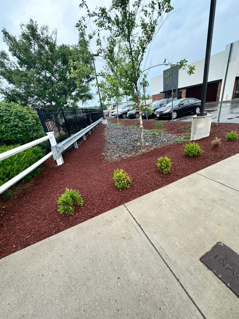 Sloped concrete walkway beside red mulch landscaping, young trees, and a white railing near a building