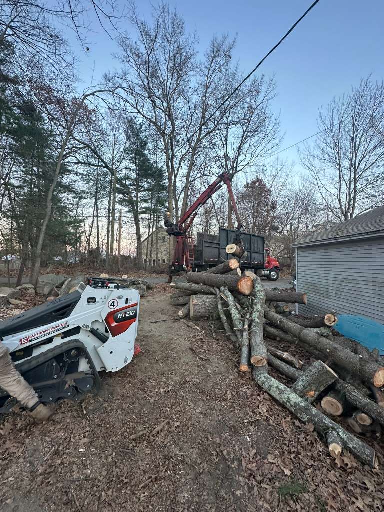 Worker standing by a skid steer and logging equipment in a wooded yard with cut logs and a crane.