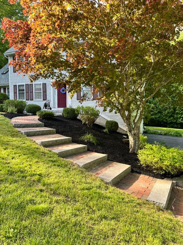 Front yard stone steps bordered by shrubs, with a tree and a white house in autumn colors.