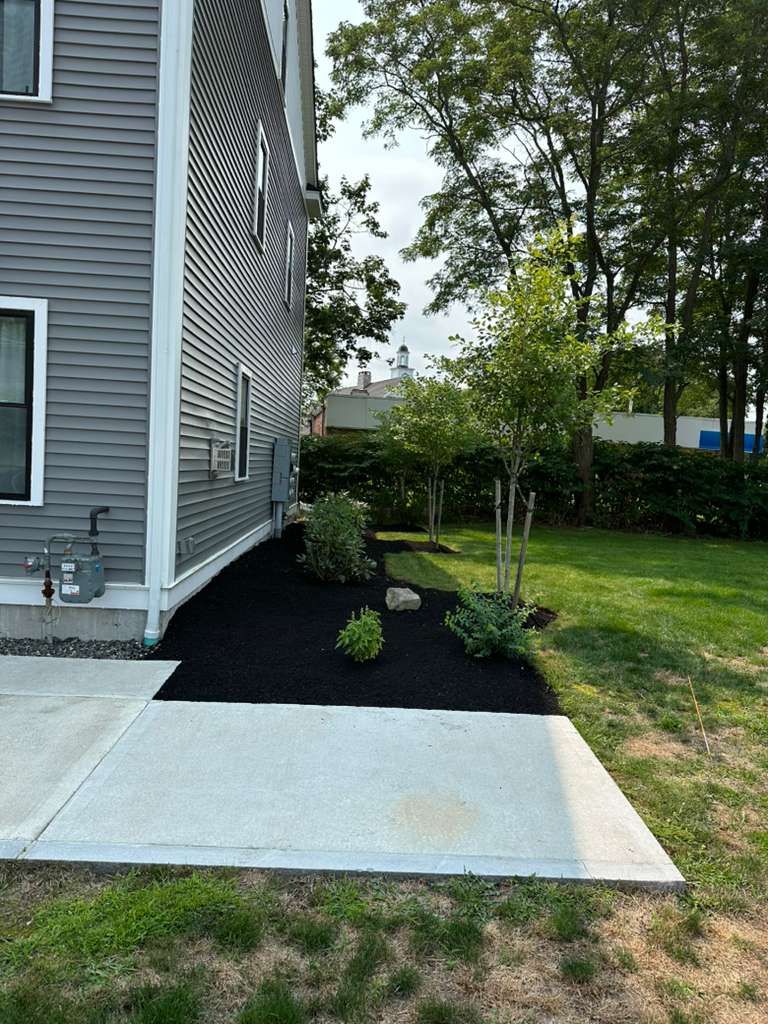 Side of a gray house with a concrete patio, black mulch bed, and young trees beside a grassy yard.