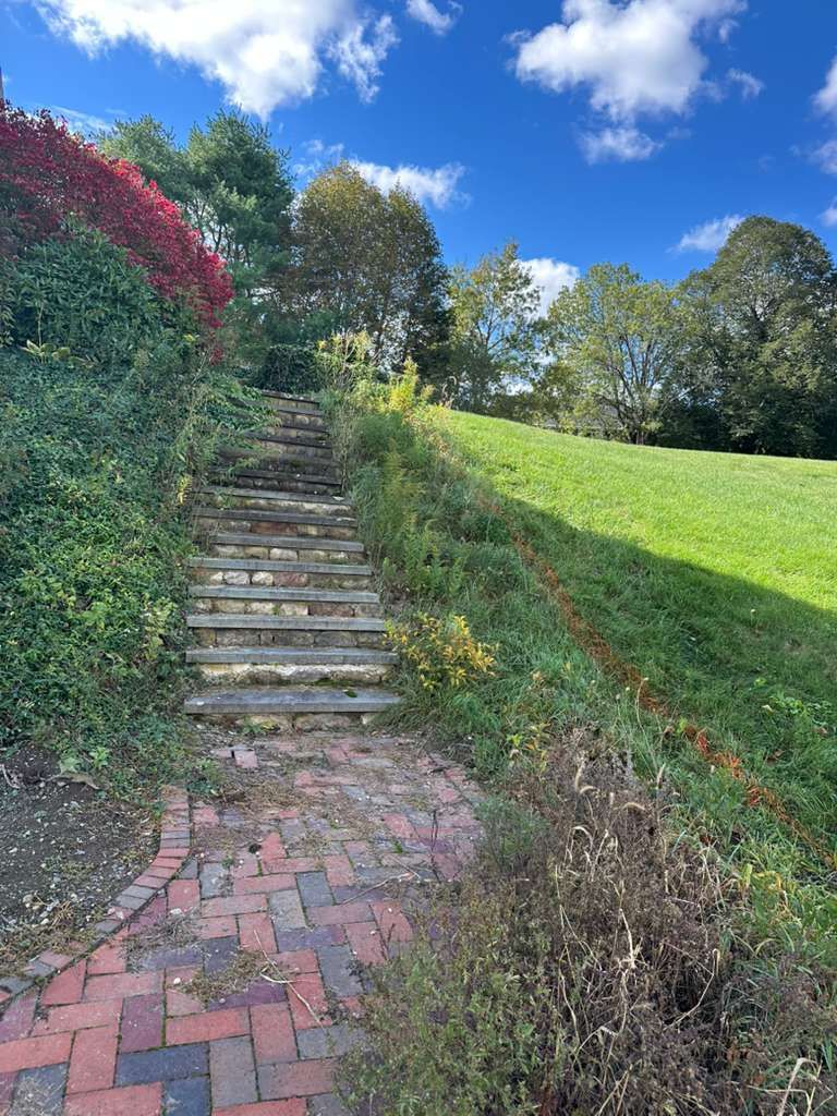 Stone steps through a leafy garden, bordered by shrubs, with a brick path and blue sky above.