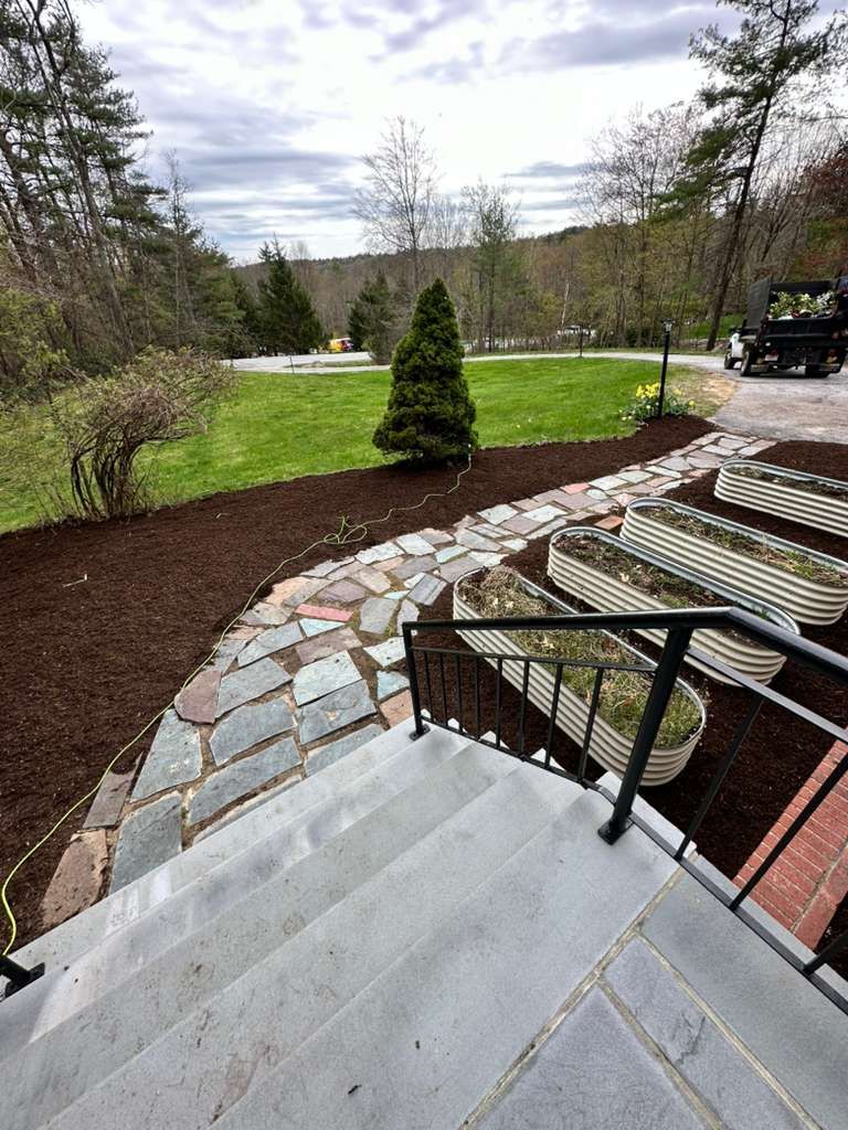 Stone steps and curved paver walkway overlooking a landscaped yard with trees and a lawn