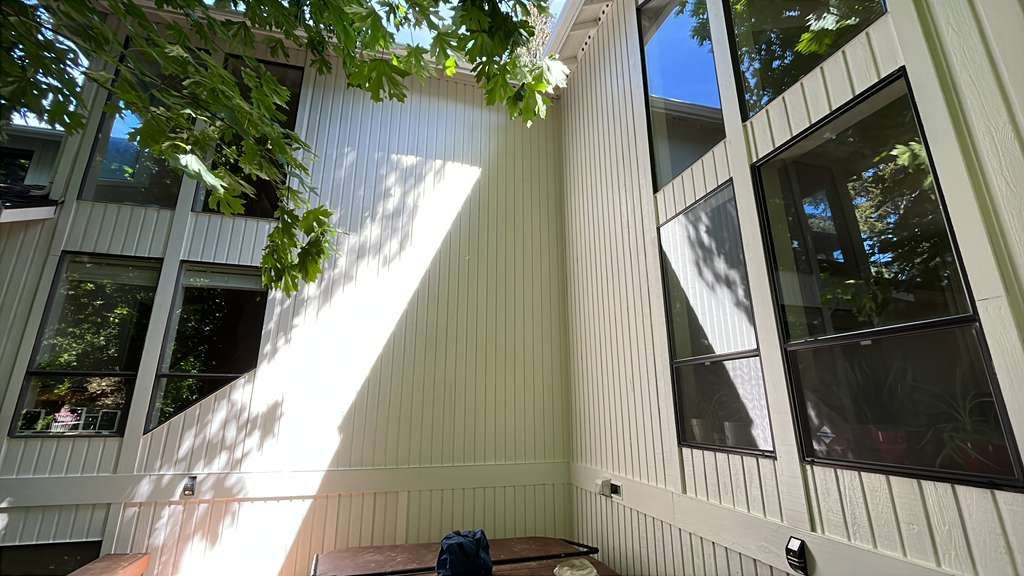 Sunlit porch with white siding, black-trimmed windows, and leafy branches overhead